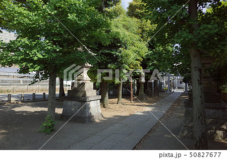 川崎市中原区の大戸神社の参道 50827677