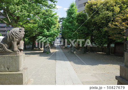 川崎市中原区の大戸神社の参道 川崎市中原区の大戸神社の参道 50827679