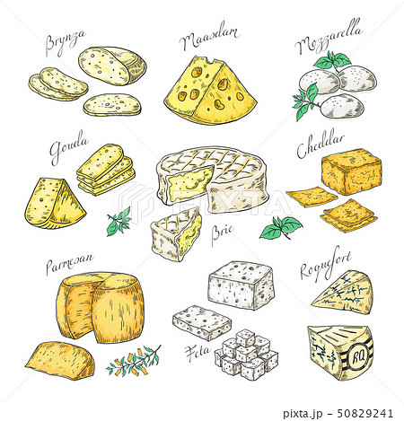 Hand Drawn Cheese Doodle Appetizers And Food のイラスト素材