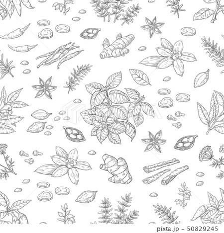 Hand drawn spices pattern. Herbs and vegetables seamless background, Asian and Indian cuisine sketch 50829245