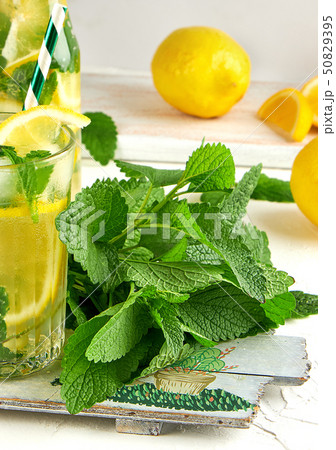 fresh bunch of mint and a glass with lemonade on a 50829395