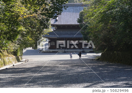 御寺 泉涌寺 下り参道　京都市 50829496