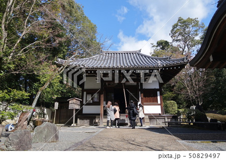 御寺 泉涌寺 楊貴妃観音堂 京都市 御寺 泉涌寺 楊貴妃観音堂 京都市 50829497