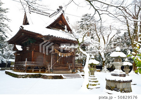 冬の日枝神社（新潟県） 50829576