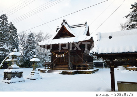 冬の日枝神社（新潟県） 50829578
