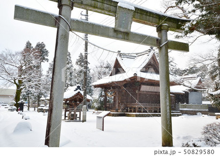 冬の日枝神社（新潟県） 50829580