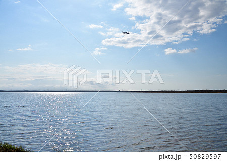春の北海道苫小牧市ウトナイ湖の湖畔の風景を撮影 50829597
