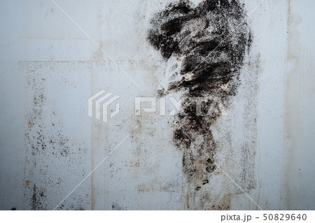 Closeup of a mold wall with fungus 50829640