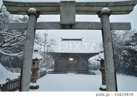 冬の加茂神社（新潟県） 50829836
