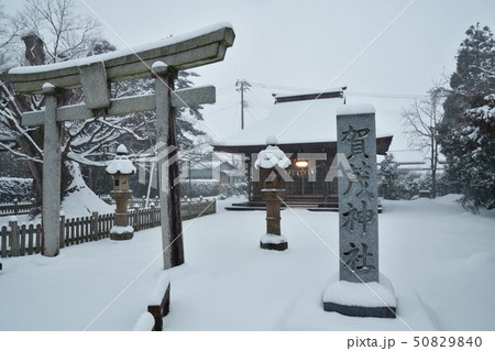 冬の加茂神社（新潟県） 50829840
