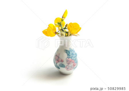 Closeup of wild yellow flowers in ceramic pot  50829985