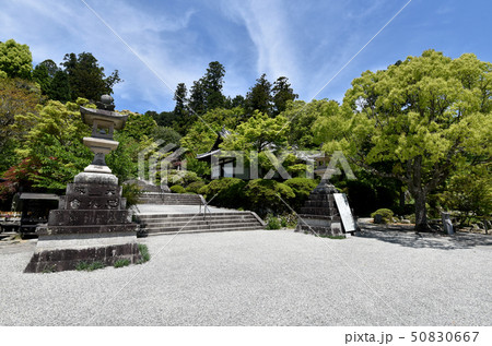 観心寺　新緑の境内 50830667