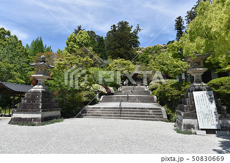 観心寺　新緑の境内 50830669