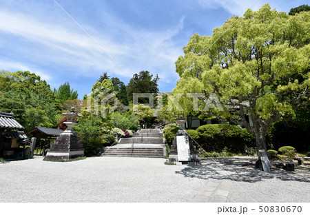 観心寺 新緑の境内 観心寺 新緑の境内 50830670