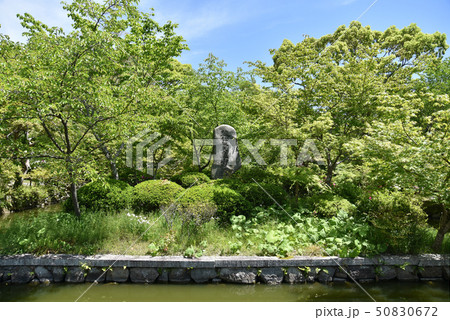 観心寺　後村上天皇桧尾陵 50830672