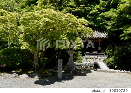 観心寺　弁天堂 50830720