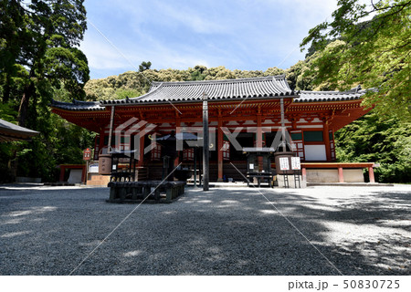 観心寺 金堂 観心寺 金堂 50830725