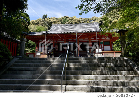観心寺　金堂 50830727