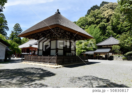 観心寺 建掛堂 観心寺 建掛堂 50830817