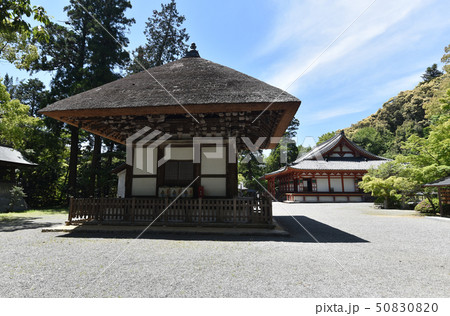 観心寺　建掛堂 50830820