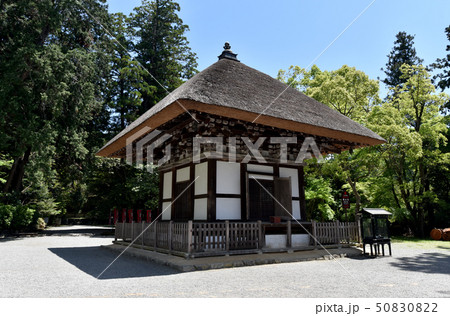 観心寺 建掛堂 観心寺 建掛堂 50830822