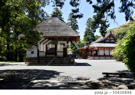 観心寺 建掛堂と金堂 観心寺 建掛堂と金堂 50830898