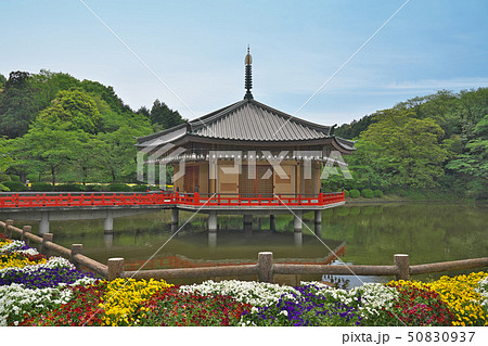 【安倍文殊院 金閣浮御堂】 奈良県桜井市安倍山 【安倍文殊院 金閣浮御堂】 奈良県桜井市安倍山 50830937