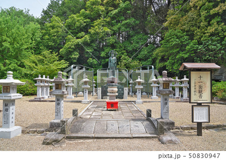 【安倍文殊院 十一面観音】 奈良県桜井市安倍山 50830947