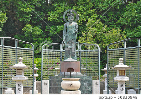 【安倍文殊院 十一面観音】 奈良県桜井市安倍山 50830948