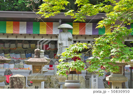 【安倍文殊院 弘法大師とお砂踏み】 奈良県桜井市安倍山 【安倍文殊院 弘法大師とお砂踏み】 奈良県桜井市安倍山 50830950