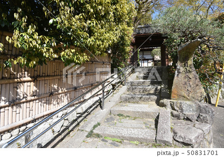 金福寺 山門 金福寺 山門 50831701