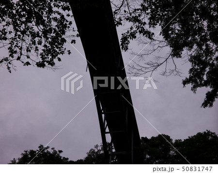 頭上の橋 頭上の橋 50831747