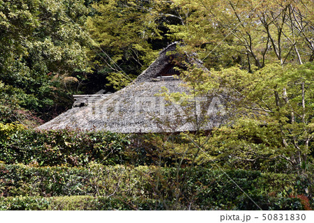 金福寺　芭蕉庵 50831830