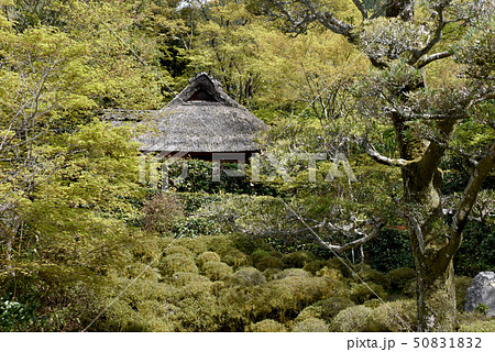 金福寺　芭蕉庵 50831832