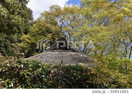 金福寺　芭蕉庵 50831881