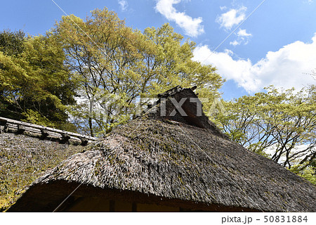 金福寺 芭蕉庵 金福寺 芭蕉庵 50831884