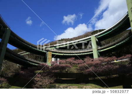 河津七滝ループ橋 河津七滝ループ橋 50832077