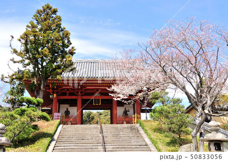 叡福寺　南大門とさくら 50833056