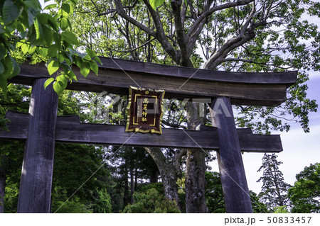 埼玉県日高市　高麗神社　二之鳥居 50833457