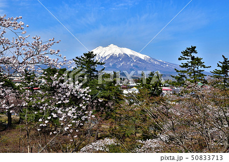 弘前城公園 50833713