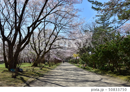 弘前城公園 弘前城公園 50833750