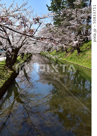 弘前城公園 50833751