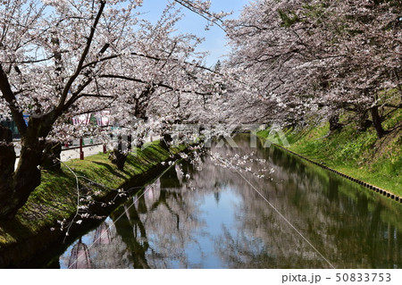 弘前城公園 50833753