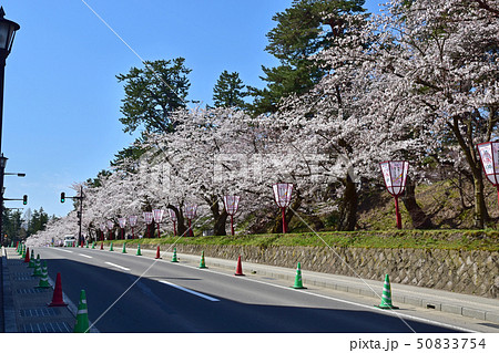 弘前城公園 50833754