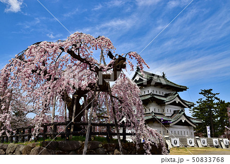 弘前城公園 弘前城公園 50833768
