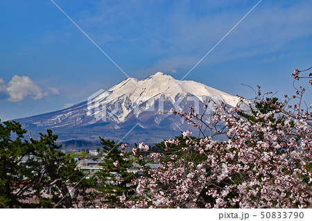 弘前城公園 弘前城公園 50833790