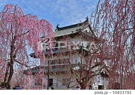 弘前城公園 弘前城公園 50833792