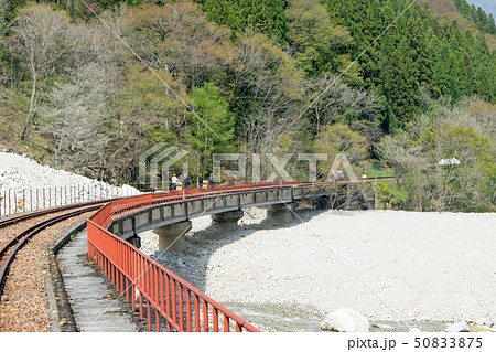 岐阜県　飛騨市神岡　レールマウンテンバイク　渓谷コース 50833875
