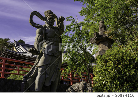 埼玉県日高市　聖天院　仁王尊と本堂 50834116