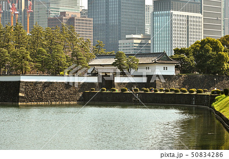 皇居周辺散歩:桜田濠と桜田門 皇居周辺散歩:桜田濠と桜田門 50834286